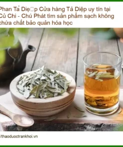 Cửa hàng Phan Tả Diệp uy tín tại Củ Chi - Đơn vị cung cấp giao nhanh