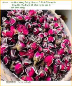Nụ Hoa Hồng hữu cơ ở Bình Tân - Đơn vị Cung cấp Sỉ lẻ Giao nhanh tại TPHCM