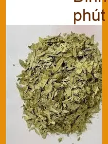 Phan Tả Diệp sấy khô Bình Tân uy tín - Địa chỉ Cung cấp Giao nhanh tận nơi