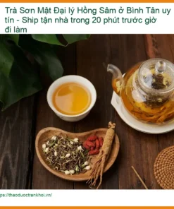 Đại lý Trà Sơn Mật Hồng Sâm Bình Tân - Đơn vị Cung cấp Giao nhanh tận nhà 20 phút