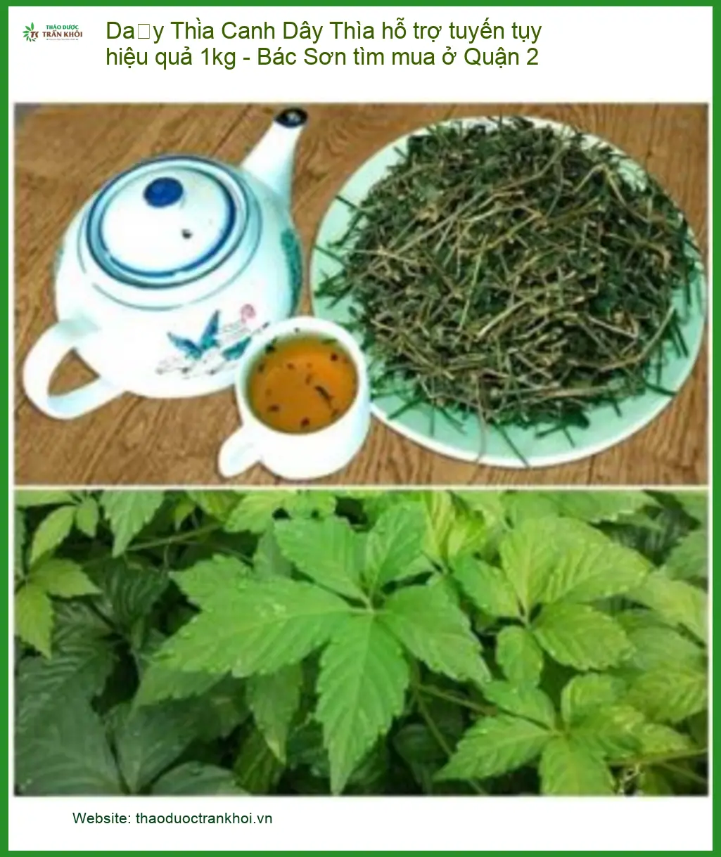 Dây Thìa Canh hỗ trợ tuyến tụy hiệu quả 1kg - Bác Sơn tìm mua ở Quận 2