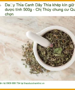 Dây Thìa Canh khép kín giữ trọn dược tính 500g - Địa chỉ Bán Giao nhanh