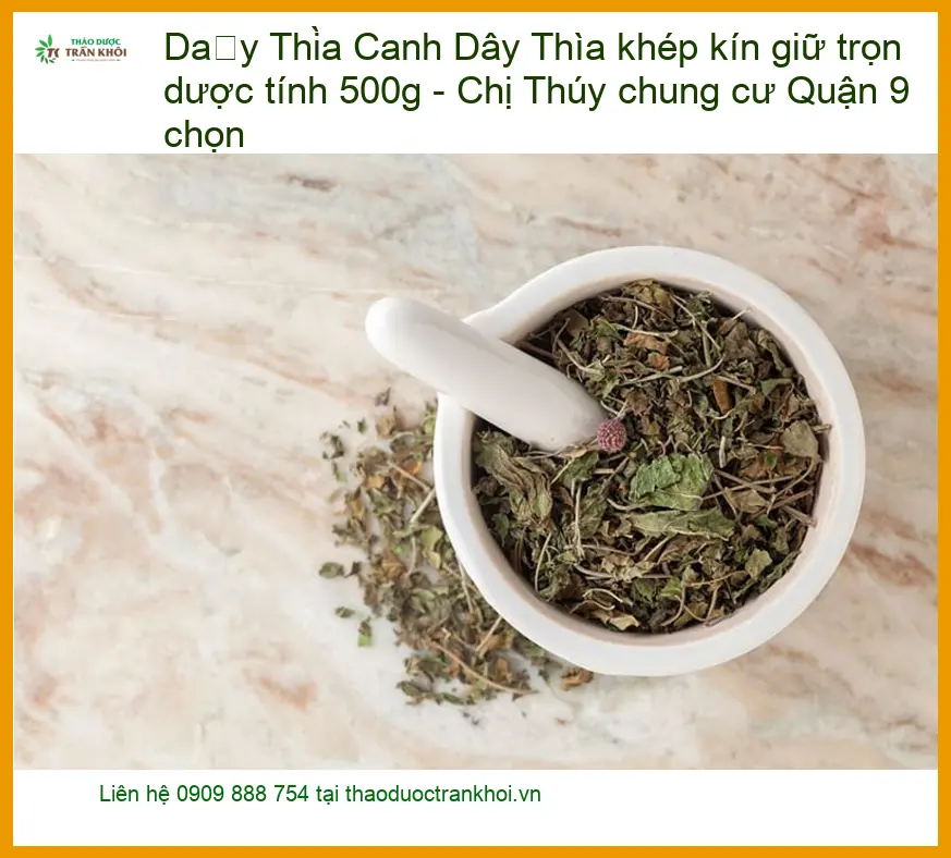 Dây Thìa Canh khép kín giữ trọn dược tính 500g - Địa chỉ Bán Giao nhanh
