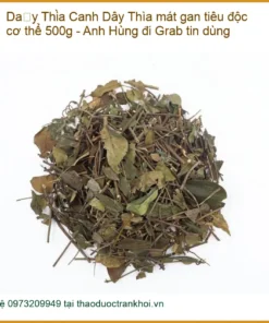 Dây Thìa Canh mát gan tiêu độc cơ thể 500g - Anh Hùng đi Grab tin dùng - TPHCM