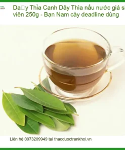 Dây Thìa Canh nấu nước giá sinh viên 250g - Bạn Nam cày deadline dùng - Bán SG