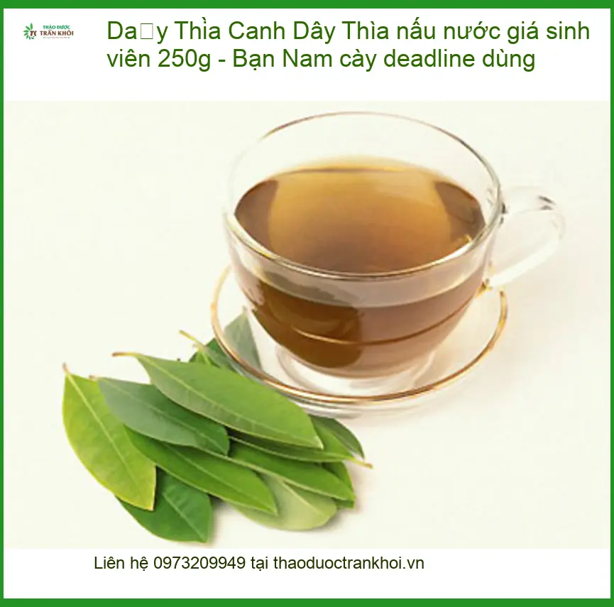 Dây Thìa Canh nấu nước giá sinh viên 250g - Bạn Nam cày deadline dùng - Bán SG