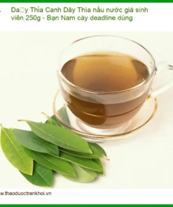 Dây Thìa Canh nấu nước giá sinh viên 250g - Bạn Nam cày deadline dùng - SG