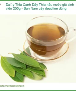 Dây Thìa Canh nấu nước giá sinh viên 250g - Bạn Nam cày deadline dùng | Có sẵn