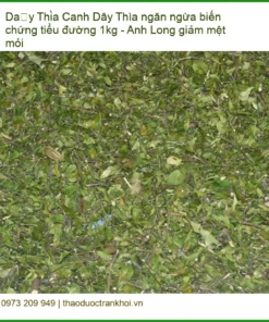 Dây Thìa Canh ngăn ngừa biến chứng tiểu đường 1kg - Anh Long giảm mệt mỏi