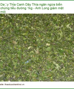 Dây Thìa Canh ngăn ngừa biến chứng tiểu đường 1kg - Anh Long giảm mệt mỏi - Bán