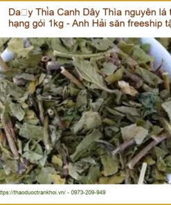 Dây Thìa Canh nguyên lá thượng hạng gói 1kg - Anh Hải săn freeship tận nhà - Có sẵn