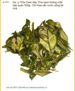 Dây Thìa Canh sạch 500g - Chị Hoa nấu nước uống - Giao nhanh TPHCM