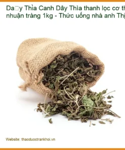 Dây Thìa Canh thanh lọc cơ thể nhuận tràng 1kg - Bán Giao nhanh TPHCM