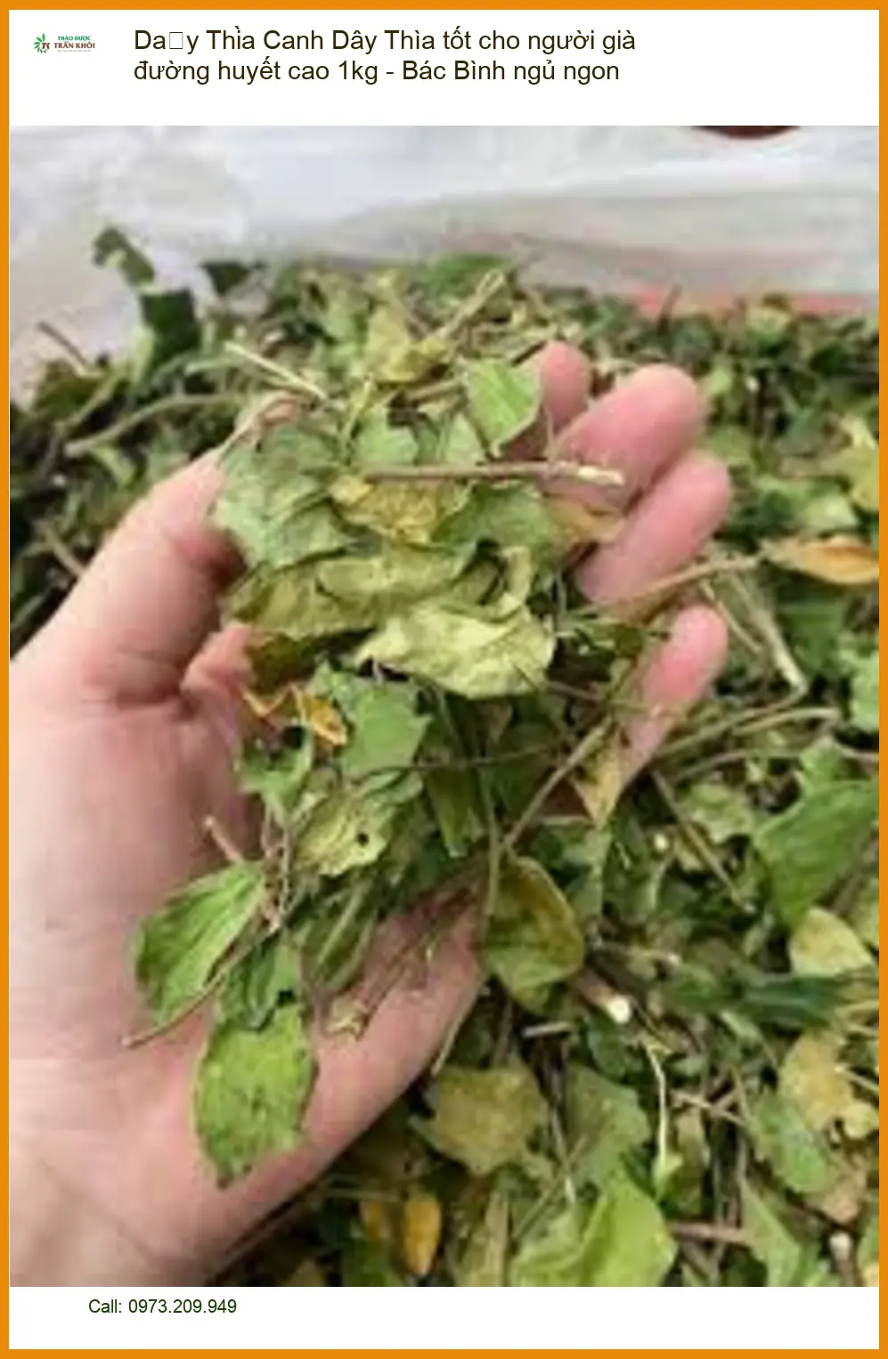 Dây Thìa Canh tốt cho người già đường huyết cao 1kg - Bác Bình ngủ ngon