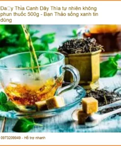 Dây Thìa Canh tự nhiên không phun thuốc 500g - Bạn Thảo sống xanh tin dùng - TPHCM