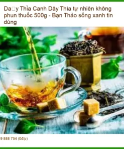 Dây Thìa Canh tự nhiên không phun thuốc 500g - Địa chỉ Bán Giao nhanh TPHCM