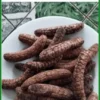 Chuối Hạt Rừng - Đơn vị Cung cấp Sỉ lẻ Giao nhanh TPHCM, kiểm hàng trước khi nhận
