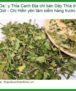 Địa chỉ bán Dây Thìa Canh ở Cần Giờ - Chị Hiền yên tâm kiểm hàng trước mua