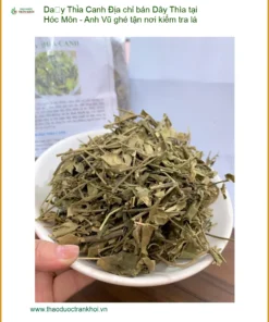 Địa chỉ bán Dây Thìa Canh tại Hóc Môn - Anh Vũ ghé tận nơi kiểm tra lá