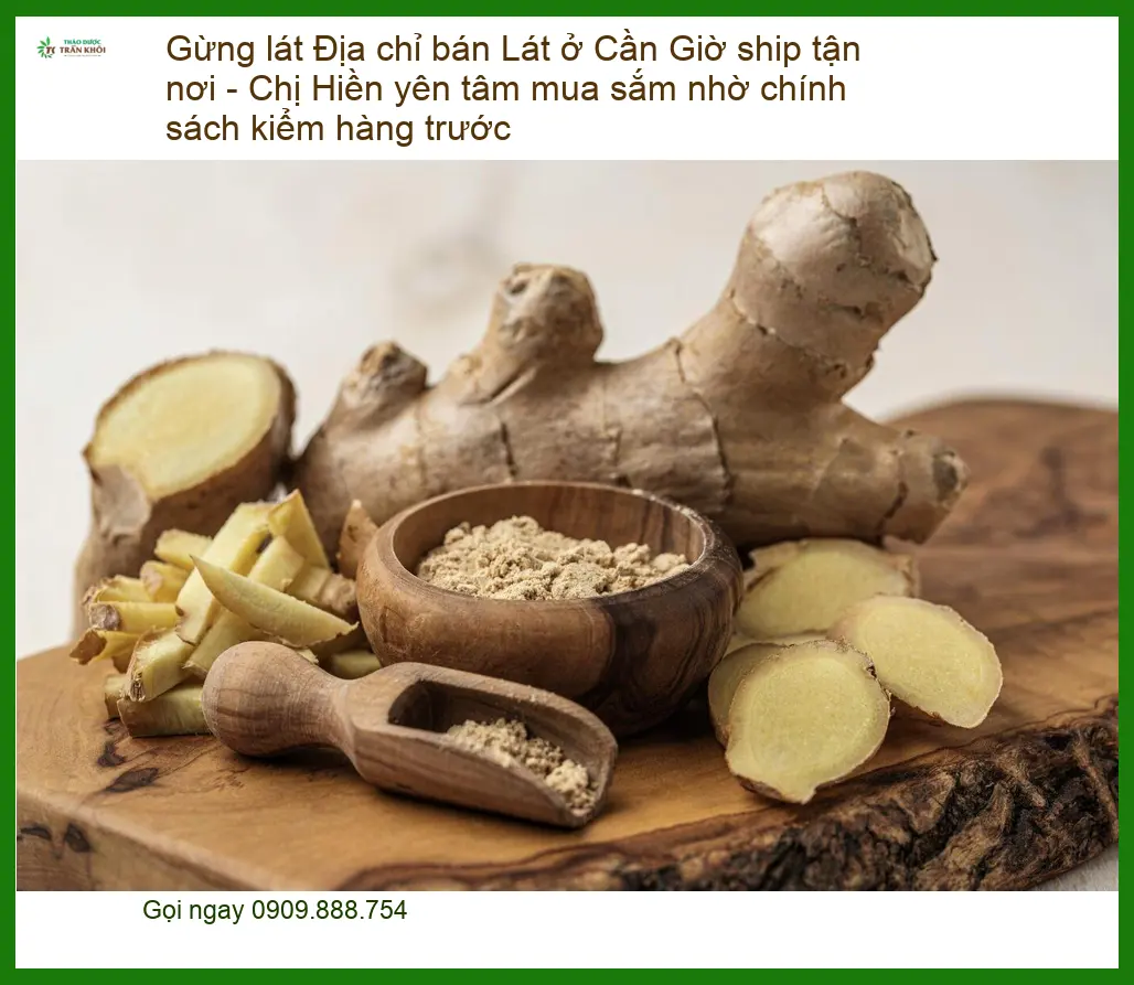 Gừng Lát tại Cần Giờ - Đơn vị cung cấp giao nhanh, kiểm hàng trước
