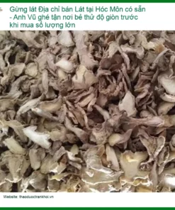 Gừng Lát tươi ngon tại Hóc Môn, có sẵn số lượng lớn - Địa chỉ bán giao nhanh