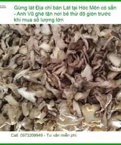 Địa chỉ bán Gừng Lát tươi ngon tại Hóc Môn - Có sẵn, giao nhanh tận nơi