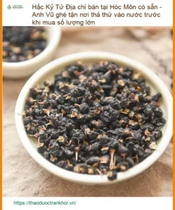 Hắc Kỷ Tử tại Hóc Môn - Anh Vũ Thử Nước | Địa chỉ Bán Sỉ Lẻ Giao Nhanh TPHCM