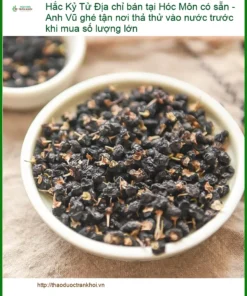 Hắc Kỷ Tử tại Hóc Môn - Đơn vị cung cấp uy tín, có sẵn hàng giao ngay