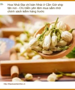 Địa chỉ bán Hoa Nhài ở Cần Giờ - Đơn vị cung cấp sỉ lẻ giao nhanh TPHCM