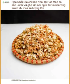 Hoa Nhài tại Hóc Môn có sẵn - Địa chỉ bán sỉ lẻ, giao nhanh tận nơi TPHCM