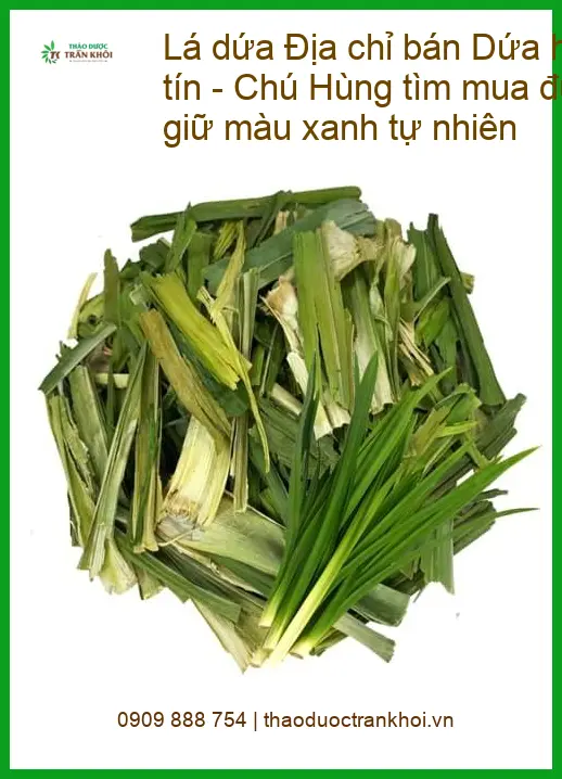 Lá Dứa hữu cơ sấy lạnh tự nhiên - Địa chỉ Bán Giao nhanh TPHCM