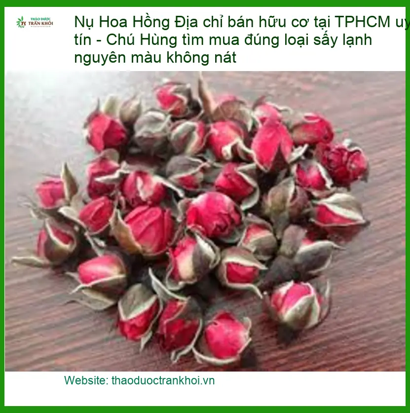 Địa chỉ bán Nụ Hoa Hồng hữu cơ tại TPHCM uy tín - Đơn vị Cung cấp Có sẵn