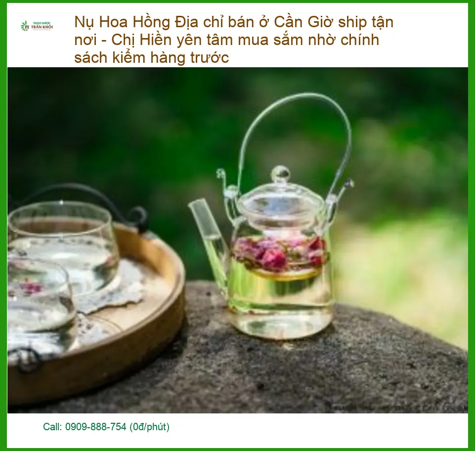 Nụ Hoa Hồng Cần Giờ ship tận nơi - Địa chỉ cung cấp sỉ lẻ có sẵn tại TPHCM