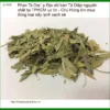 Phan Tả Diệp nguyên chất sấy lạnh TPHCM - Địa chỉ cung cấp có sẵn tại TPHCM