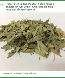 Phan Tả Diệp nguyên chất tại TPHCM uy tín - Đơn vị Cung cấp Sỉ lẻ có sẵn