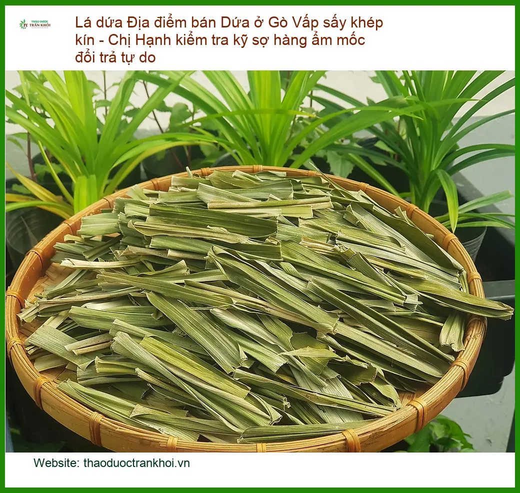 Lá Dứa sấy khép kín Gò Vấp, Chị Hạnh kiểm tra kỹ - Địa chỉ Bán Giao nhanh