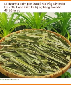 Lá Dứa sấy khép kín Gò Vấp - Địa chỉ bán sỉ lẻ có sẵn, Giao nhanh TPHCM