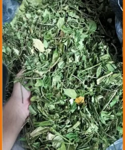 Giá bán Dây Thìa Canh loại thượng hạng 1kg - Đại lý Bình Thạnh giá tốt - Có sẵn