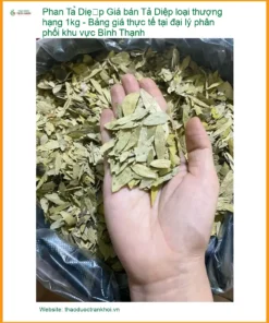 Giá bán Phan Tả Diệp loại thượng hạng 1kg - Địa chỉ bán sỉ lẻ có sẵn TPHCM