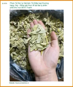 Giá bán Phan Tả Diệp loại thượng hạng 1kg - Địa chỉ bán giao nhanh tại TPHCM