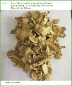 Gừng Lát tự nhiên không phun thuốc kích thích 500g - Giao nhanh TPHCM