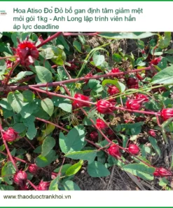 Hoa Atiso Đỏ bổ gan định tâm giảm mệt mỏi gói 1kg - Địa chỉ Bán Có sẵn