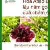 Hoa Atiso Đỏ cho người bị nóng trong lâu năm gói 1kg - Địa chỉ bán giao nhanh TPHCM