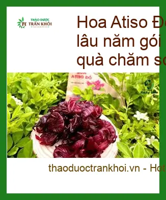 Hoa Atiso Đỏ cho người bị nóng trong lâu năm gói 1kg - Địa chỉ bán giao nhanh TPHCM