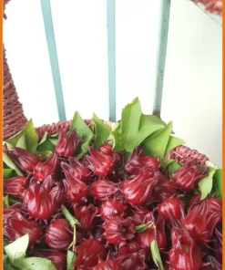 Hoa Atiso Đỏ nấu nước uống gói 250g - Đơn vị cung cấp sỉ lẻ giao nhanh TPHCM