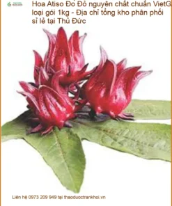Hoa Atiso Đỏ nguyên chất VietGAP 1kg - Địa chỉ Cung cấp Giao nhanh tại Thủ Đức