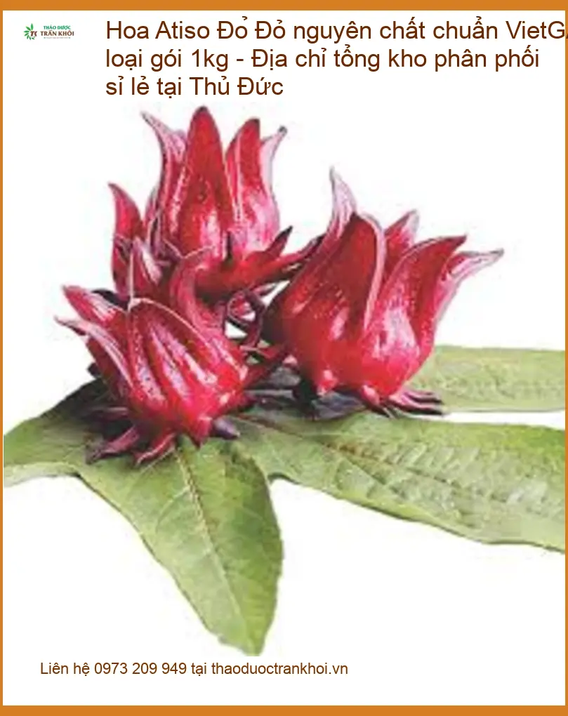 Hoa Atiso Đỏ nguyên chất VietGAP 1kg - Địa chỉ Cung cấp Giao nhanh tại Thủ Đức