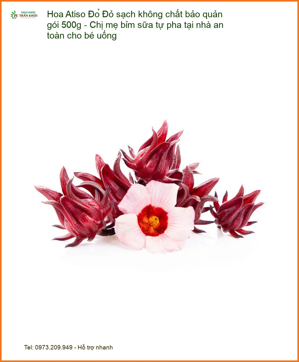 Atiso Đỏ sạch 500g cho mẹ bỉm sữa & bé - Cung cấp sỉ lẻ giao nhanh TPHCM