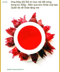 Hoa Atiso Đỏ trị mụn nội tiết nóng trong túi 300g - Bán Atiso Đỏ TPHCM