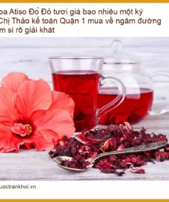 Hoa Atiso Đỏ tươi Quận 1 làm si rô - Địa chỉ Cung cấp Sỉ lẻ Giao nhanh TPHCM